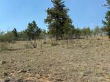 250 Pinto Trail - Photo 14