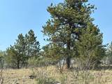 250 Pinto Trail - Photo 21