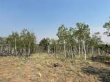 250 Pinto Trail - Photo 23