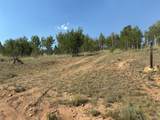 250 Pinto Trail - Photo 4