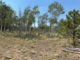250 Pinto Trail - Photo 7