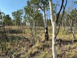 250 Pinto Trail - Photo 8