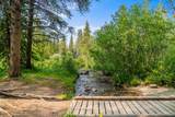 637 White Cloud Drive - Photo 38