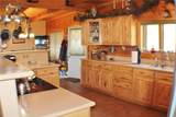 218 Quarter Horse - Photo 15