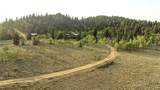 218 Quarter Horse - Photo 29