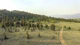 218 Quarter Horse - Photo 30