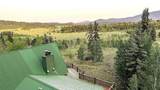 218 Quarter Horse - Photo 6