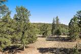 1720 Ute Trail - Photo 26