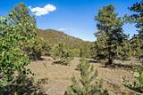 1720 Ute Trail - Photo 38