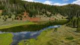 TBD County Road 225 - Photo 2