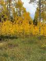 TBD County Road 225 - Photo 24