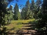 33255 Filly Trail - Photo 13