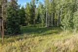 33255 Filly Trail - Photo 22