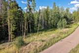 33255 Filly Trail - Photo 8