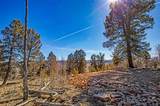 4765 Middle Fork Vista - Photo 18