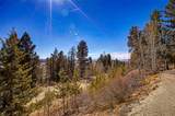 4765 Middle Fork Vista - Photo 26