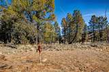 4765 Middle Fork Vista - Photo 28