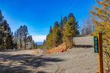 4765 Middle Fork Vista - Photo 7