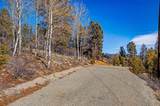 4765 Middle Fork Vista - Photo 9