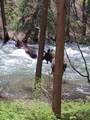 2260 Keystone Ranch Road - Photo 44