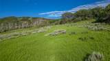 27105 Cowboy Up Road - Photo 23