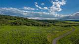 27105 Cowboy Up Road - Photo 26