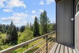 10000 Ryan Gulch Road - Photo 12