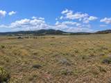 6298 Elkhorn Road - Photo 9