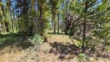 20810 Filly Trail - Photo 5