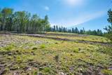 422 Rollies Trail - Photo 20