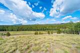422 Rollies Trail - Photo 22