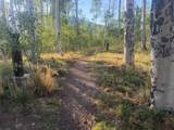 116 Youngs Preserve Road - Photo 34