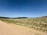 609 Commanche Trail - Photo 9