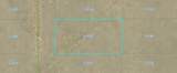 00002 Tarryall Street - Photo 1