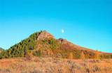 23800 County Road 16 - Photo 43
