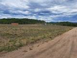 539 Mustang Trail - Photo 13