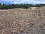 539 Mustang Trail - Photo 3