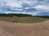 539 Mustang Trail - Photo 5