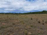 539 Mustang Trail - Photo 6