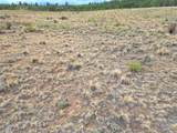 539 Mustang Trail - Photo 7