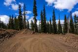 450 Quandary View Drive - Photo 12