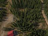 450 Quandary View Drive - Photo 13