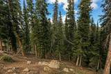 450 Quandary View Drive - Photo 18