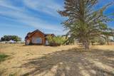 1105 5th Avenue - Photo 42