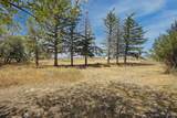 1105 5th Avenue - Photo 45