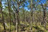 497 Ten High Lane - Photo 32