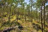 497 Ten High Lane - Photo 43