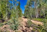 497 Ten High Lane - Photo 48