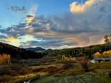 56907 County Road 62 - Photo 8