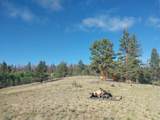 1167 Latigo Loop - Photo 18